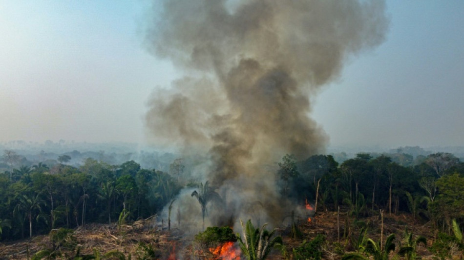 Casi 3.000 incendios en la Amazon&iacute;a brasile&ntilde;a, r&eacute;cord para un mes de febrero