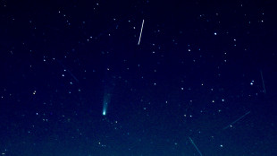 Dietro la stella di Betlemme forse una cometa che ha sfiorato la Terra