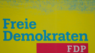 Fr&uuml;here FDP-Bundestagsabgeordnete klagen in Karlsruhe gegen Sonderverm&ouml;gen