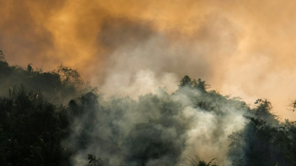 Sequ&iacute;a e incendios fuera de serie preocupan al sector agr&iacute;cola en Brasil