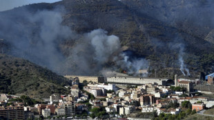Controlado el incendio en la frontera de Espa&ntilde;a con Francia 