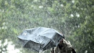 Abgesagte Veranstaltungen und Verletzte durch Hagel: Folgen von Gewitterfront