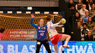 Auf dem Weg zur Heim-WM: DHB-Frauen verlieren gegen Dänemark