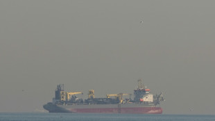 P&eacute;trole: l'Opep+ augmente davantage que pr&eacute;vu sa production face &agrave; la guerre en Iran