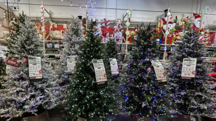 Despite doubts over economy, Americans set for record holiday spending