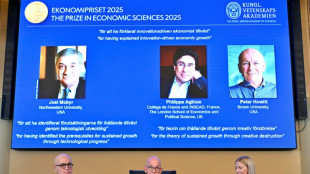 Ganador del Nobel de Economía advierte sobre los riesgos de la IA