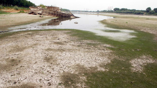 Accordo Ue su target clima,-90% al 2040 con flessibilità