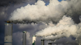 S&uuml;dkorea will keine neuen Kohlekraftwerke mehr bauen