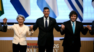 Maschinenbau ruft zu vorl&auml;ufiger Anwendung von EU-Mercosur-Abkommen auf