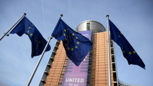 Trotz Protest Frankreichs: Brüssel will Mercosur-Abkommen dieses Jahr abschließen