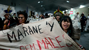 Climat: l'UE face aux pays p&eacute;troliers et &eacute;mergents, la COP30 dans l'impasse