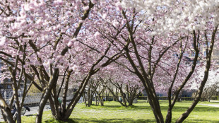 L'incontro tra Luna e Venere festeggia l'equinozio di primavera