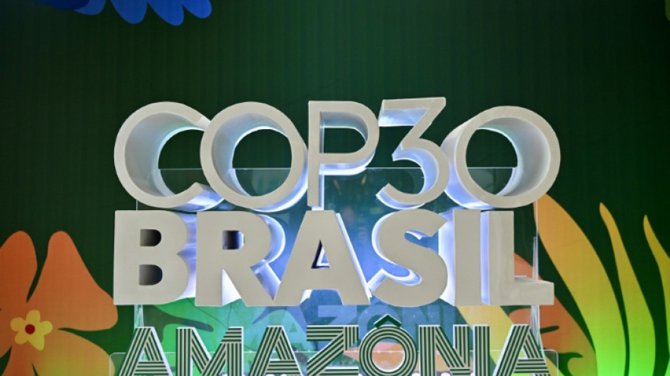 Anfitrião da COP30, Brasil ostenta balanço positivo em matéria climática
