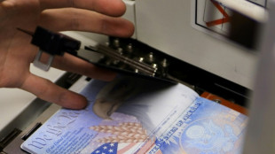 Renovar el pasaporte en EEUU, un tr&aacute;mite costoso y largo tras el covid