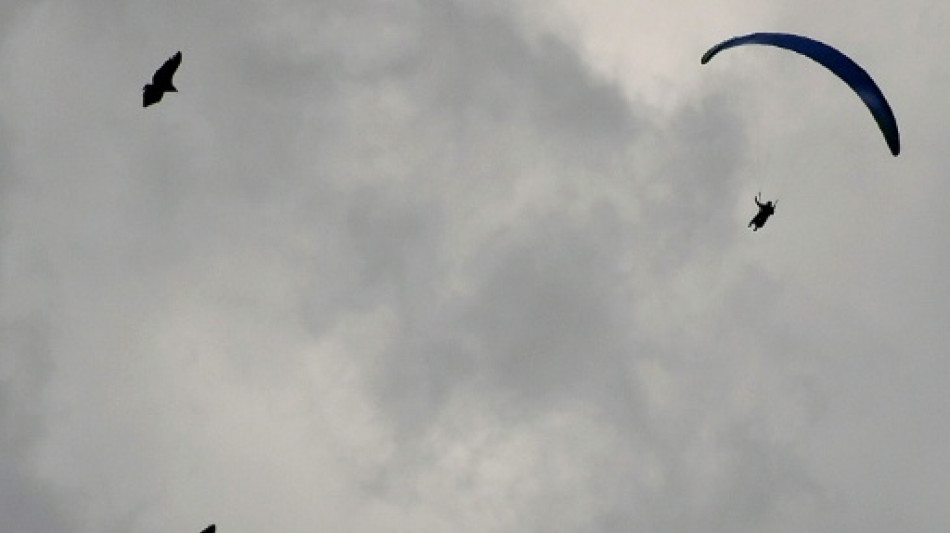 &iquest;Puede el mundo salvar el ave costera que vuela 30.000 kil&oacute;metros por a&ntilde;o?