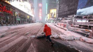 Winter storm blankets US northeast as travel bans imposed
