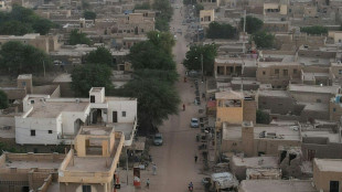 Mali: attaques jihadistes présumées contre l'armée dimanche et lundi, lourd bilan