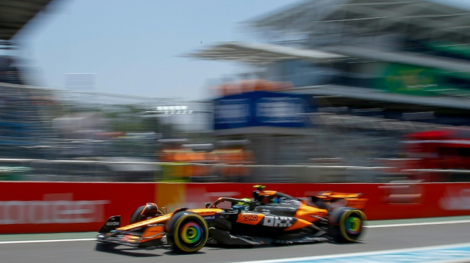 Norris grabs pole for Brazilian Grand Prix sprint race