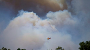 Mindestens zw&ouml;lf Tote bei Waldbrand im s&uuml;dspanischen Andalusien