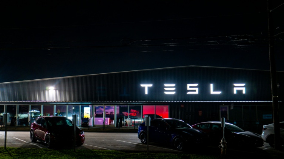 Tesla profits tumble on higher costs, tariff drag