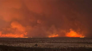 El gigantesco incendio en una reserva de animales de Namibia está controlado, según una ministra