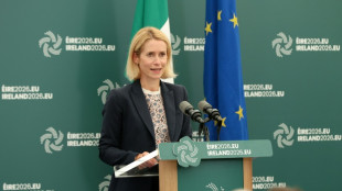 Gespr&auml;che in der EU &uuml;ber Reform des Ausw&auml;rtigen Dienstes