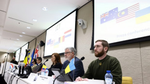 "Fuertes indicios" de que Putin decidi&oacute; la entrega del misil que derrib&oacute; el vuelo MH17 en Ucrania en 2014