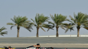 Piastri mit letzter Trainingsbestzeit in Bahrain