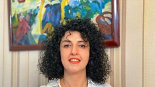 Ir&aacute;n condena de nuevo a premio Nobel de la Paz encarcelada