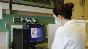 Aumentano le inventrici in Italia, sono quarte in Europa