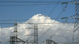 Repsol y BP, investigadas en Espa&ntilde;a por posibles pr&aacute;cticas anticompetitivas