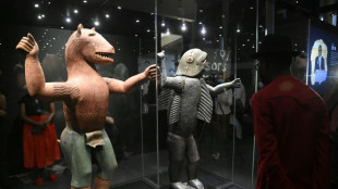 French Senate adopts bill to return colonial-era art