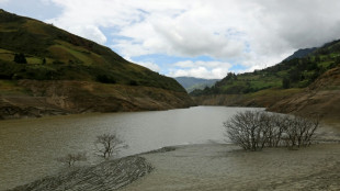 Referendo en un Ecuador socavado por crisis diplom&aacute;tica, el&eacute;ctrica y de violencia