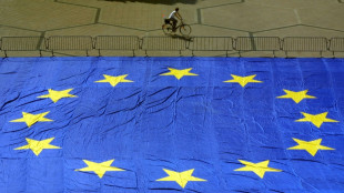 UE : un avis scientifique recommande une "large restriction" des polluants &eacute;ternels