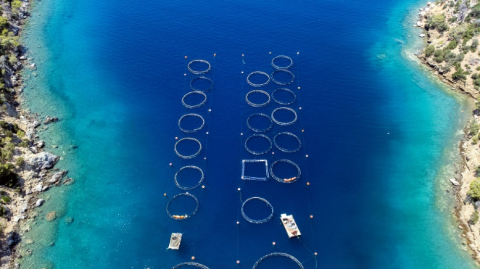 Una isla tur&iacute;stica en Grecia se resiste a un proyecto de piscifactor&iacute;a