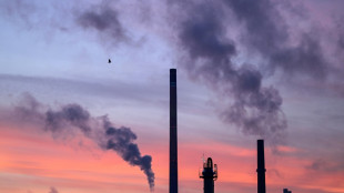 DIHK-Umfrage: Stimmung deutscher Unternehmen leicht eingetrübt