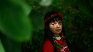 Un director brit&aacute;nico y un grupo ind&iacute;gena sufren una emboscada en Brasil, seg&uacute;n activistas