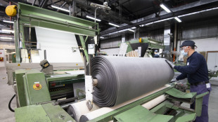 Nel 2024 per le medie e le grandi aziende -2,4% dei ricavi