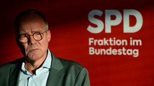 Fraktionschef Miersch ruft SPD zu Geschlossenheit auf