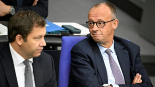 Merz will eingefrorene russische Vermögen für Kredit an die Ukraine nutzen