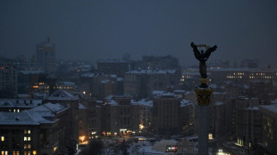 Alemania acusa a dos ucranianos por planear el env&iacute;o de paquetes explosivos por orden de Rusia