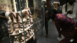 &OElig;uvres pill&eacute;es durant la colonisation: les d&eacute;put&eacute;s fran&ccedil;ais adoptent une loi pour faciliter les restitutions