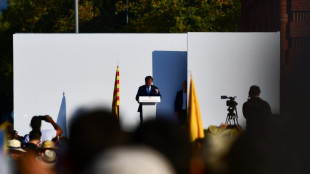 "Nunca tuve la intenci&oacute;n de entregarme" a la justicia espa&ntilde;ola, afirma Puigdemont