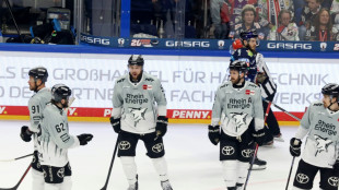 Nach "Klassenunterschied": Haie wollen Reaktion zeigen