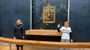 Las ecologistas que rociaron la "Mona Lisa" podr&aacute;n pagar una "contribuci&oacute;n ciudadana"