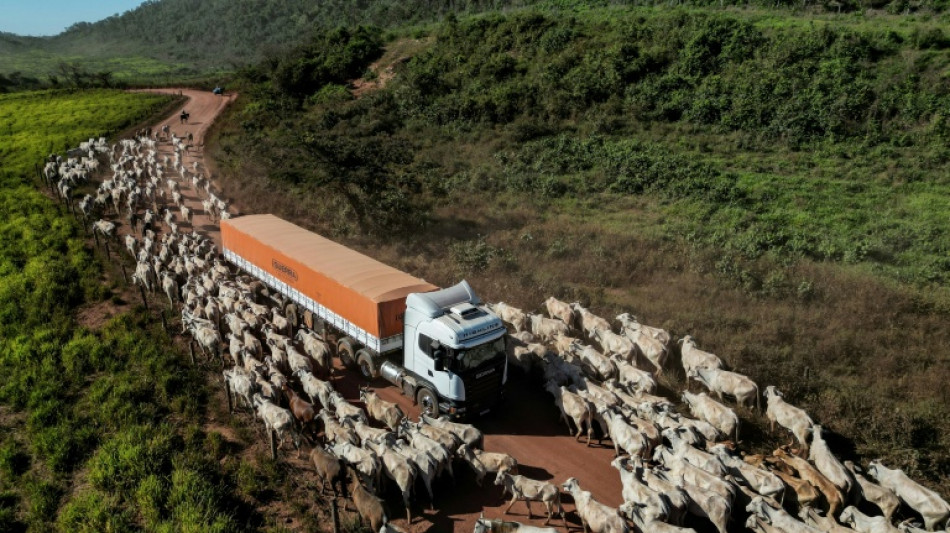 O que &eacute; preciso saber sobre o acordo UE-Mercosul