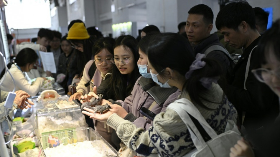 En Chine, la mode des animaux exotiques laisse le bien-&ecirc;tre en suspens