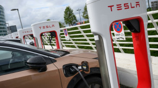 Questions about Tesla spending binge ahead of earnings