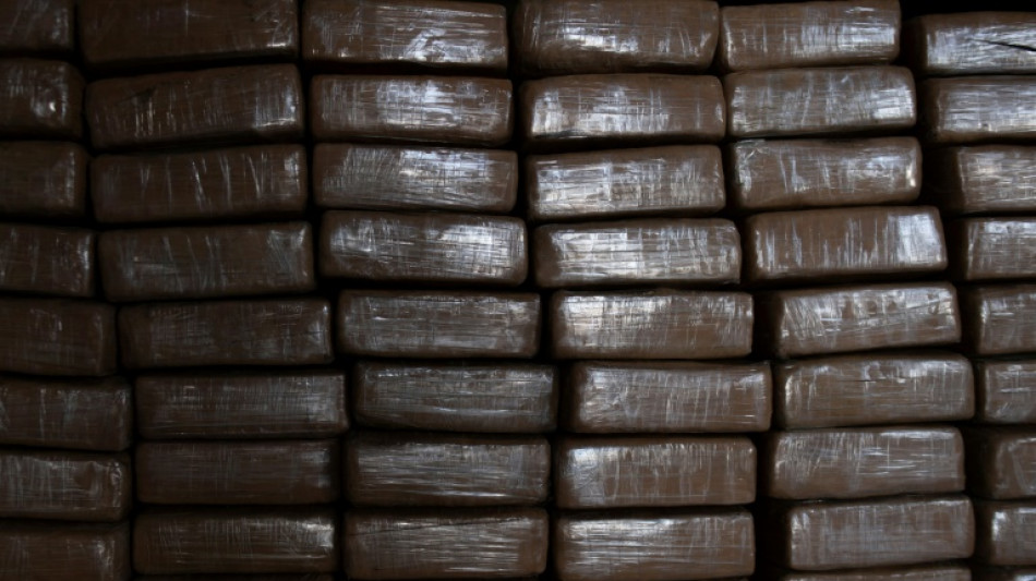Confiscan en Espa&ntilde;a 620 kilos de coca&iacute;na mezclada con sal llegados de Colombia