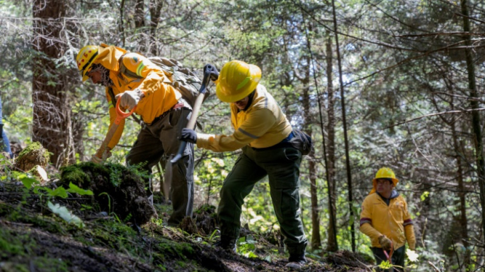 Mexique: opération massive de recherche de corps de disparus